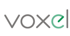 Voxel