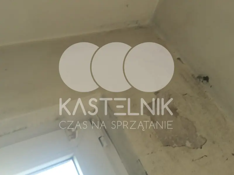 Usuwanie pleśni z pomieszczeń. Usuwanie pleśni z pomieszczenia.