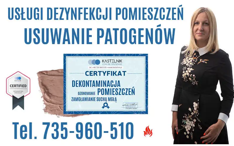 Profesjonalna dezynfekcja mieszkań. Profesjonalna dezynfekcja.